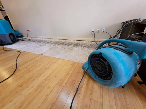 Professional Ceiling Water Damage Repair technician working in Willard, OH